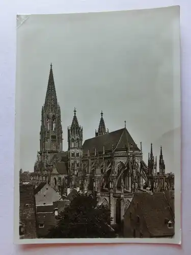 Alte AK Freiburg Breisgau Münster [aE720]