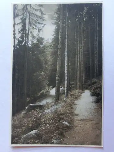 Alte AK Triberg Waldpartie Panoramaweg [aE724]