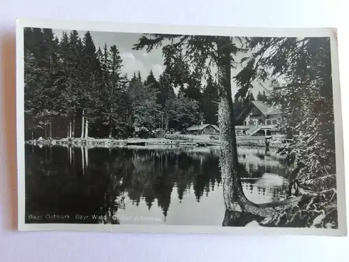 Alte AK Bayrischer Wald Großer Arbersee [aE741]