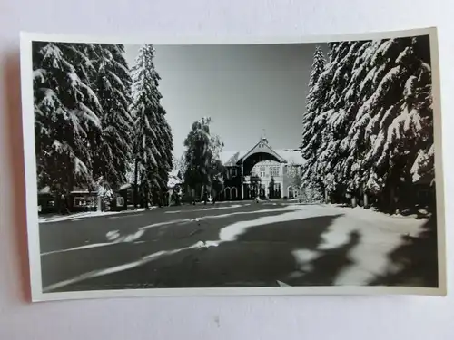 Alte AK Fotokarte Carolagrün Vogtland  [C1120]