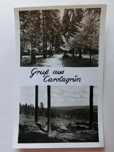 Alte AK Carolagrün Vogtland [C1122]