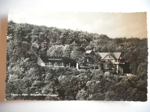 Alte AK Thale Harz Hotel Roßtrappe [aG389]
