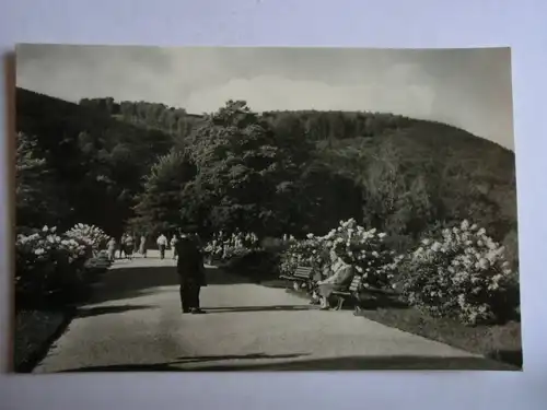 Alte AK Friedrichroda Im Kurpark [aG429]