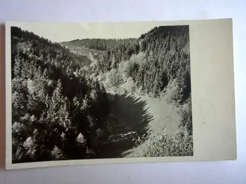 Alte AK Fotokarte Simmerath Belgenbachtal  [aG736]