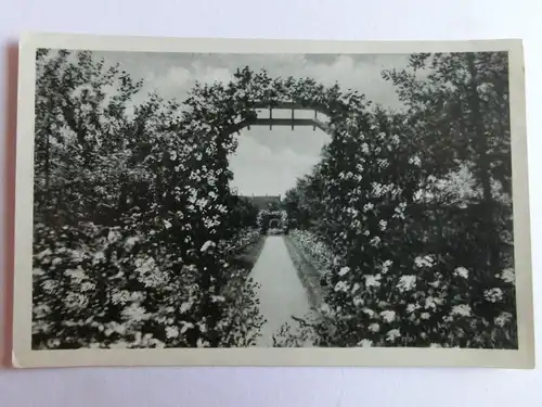 Alte AK Calenberge Wolters Park-Restaurant [aH974]