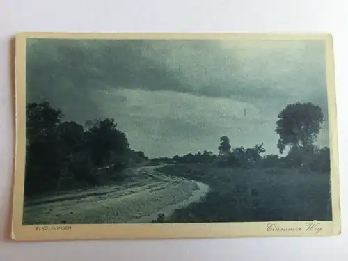 Alte AK Naturfotografie F. Kölblinger Einsamer Weg [aH432]
