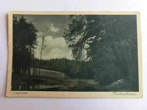 Alte AK Naturfotografie F. Kölblinger Waldesflüstern [aH433]