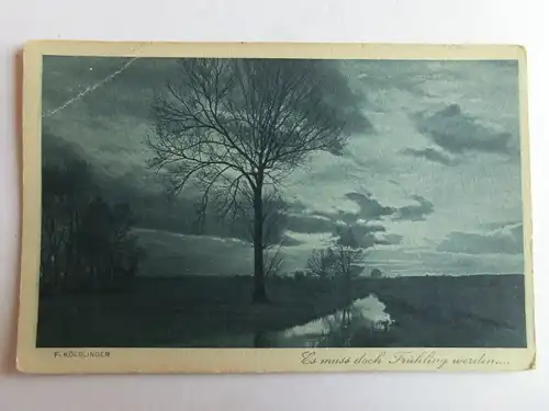 Alte AK Naturfotografie F. Kölblinger Es muss doch Frühling… (mit Knick) [aH434]