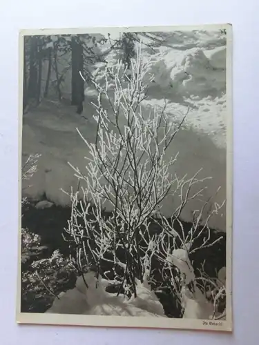 Alte AK Ita Ebhardt Winter Bach Büsche Wald Schnee [aH450]