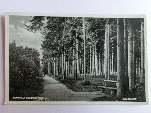 Alte AK Ostseebad Brunshaupten Waldpartie [aH547]