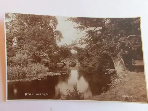 Alte AK Naturfotografie Still Waters See Gewässer Bäume [aH683]