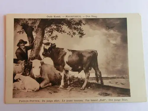 Alte AK Gemäldekarte Paulus Potter Der junge Stier Kuh Kühe [aH701]