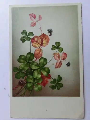 Alte AK Glückwunschkarte Kleeblätter  [aH963]