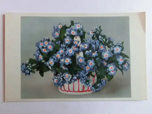 Alte AK Grußkarte Vergissmeinnicht in Schale [aH100]