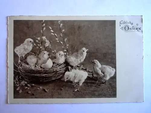 Alte AK Grußkarte Ostern Nest Küken Palmkätzchen 1938 [aH17]