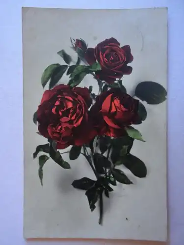 Alte AK Grußkarte Rosen Rose um 1930 [aH33]