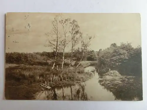 Alte AK Naturfotografie Birken Bach Landschaft Heide Moor [aH437]