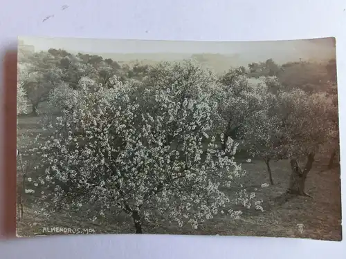 Alte AK Almendros Palma de Mallorca [aJ1067]