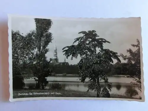 Alte AK Zwickau Schwanenteich Dom [aJ393]
