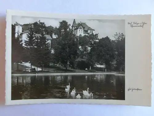 Alte AK Bad Sulza Thüringen Schwanenteich [aJ439]