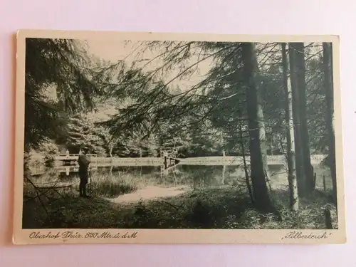 Alte AK Oberhof Thüringen Silberteich [aJ445]
