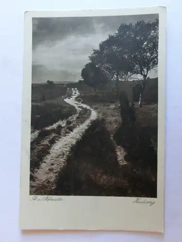 Alte AK Lüneburger Heide Th. u. O. Hofmeister Heideweg [aJ476]