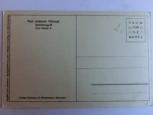 Alte AK Lüneburger Heide Th. u. O. Hofmeister Wacholder [aJ477]