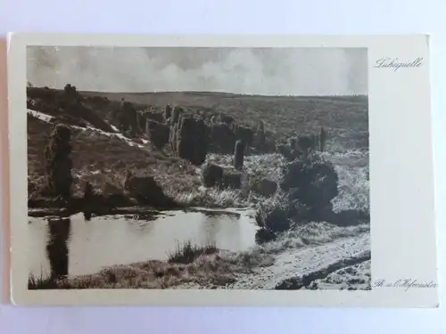 Alte AK Lüneburger Heide Th. u. O. Hofmeister Luhequelle [aJ479]