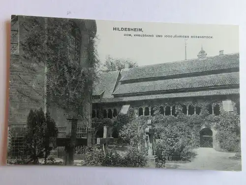 Alte AK Hildesheim Dom Kreuzgang 1000jähriger Rosenstock [aJ534]