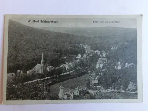 Alte AK Wildbad Schlangenbad Taunus um 1925 [aJ616]