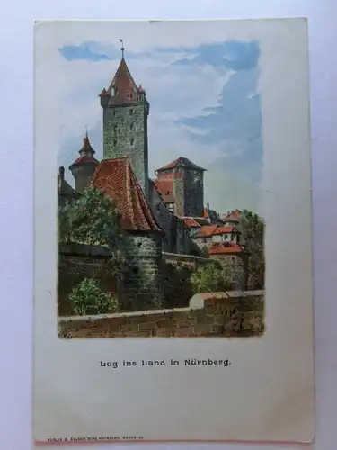 Alte AK Nürnberg Lug ins Land um 1900 [aJ664]
