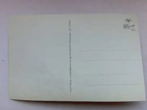 Alte AK Streichen Achental Wilder Kaiser [aP882]