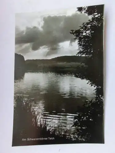 Alte AK Treysa Haus Richberg Schwarzenbörner Teich [aP883]