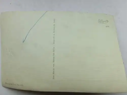 Alte AK Mainz Die Christuskirche [aP912]