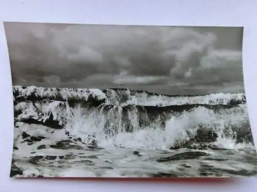 Alte AK St. Peter Ording Windstärke 11 [aP288]