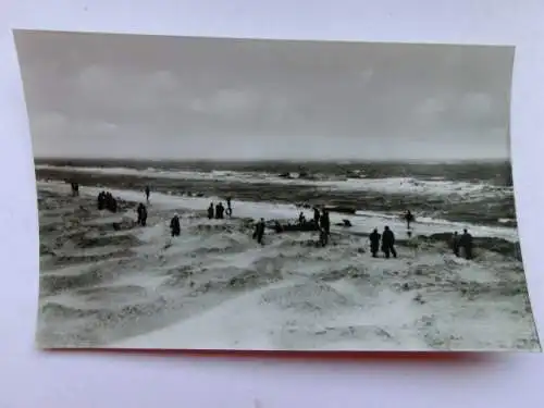 Alte AK St. Peter Ording Sturmflut Windstärke 11 [aP290]