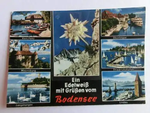 Alte AK Bodensee Mehrbildkarte Edelweiss [aN610]