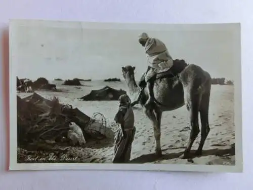 Alte AK Ägypten Kamel Rest in the dessert  [aN283]