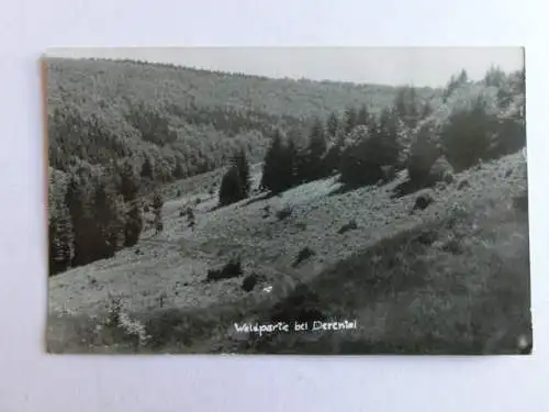 Alte AK Waldpartie bei Derental Boffzen [aN299]