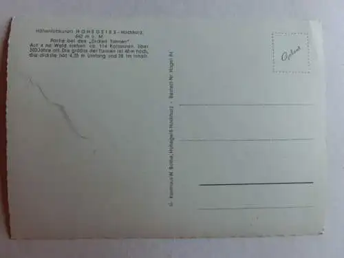 Alte AK Hohegeiss Harz Dicke Tannen [aN428]