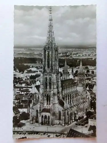 Alte AK Ulm Ulmer Münster [aN457]