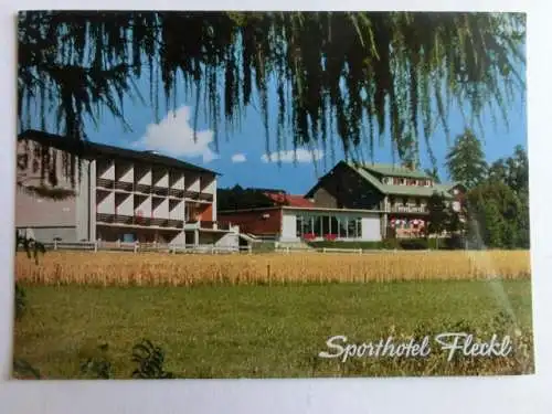 Alte AK Fleckl Fichtelgebirge Sporthotel Warmensteinach [aN543]