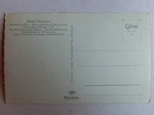 Alte AK Blankenstein Ruhr Hotel Dimmers [aL311]