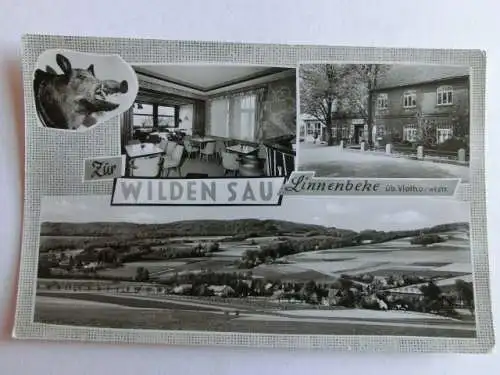 Alte AK Linnenbeke üb. Vlotho Zur Wilden Sau [aL389]