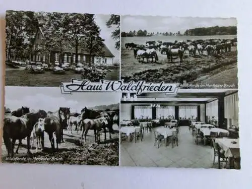 Alte AK Dülmen Gasthaus Waldfrieden am Wildpark [aL411]