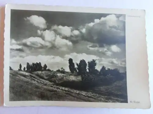 Alte AK Naturfotografie Dämmerung Heide Primus [aL650]