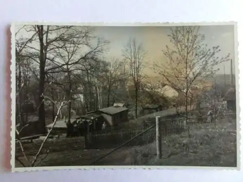 Alte AK Fotokarte Unbekannter Ort Garten Landschaft [aX1036]