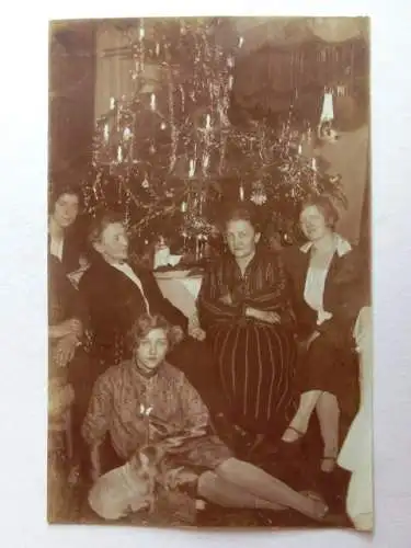 Alte AK Fotokarte Familie Weihnachten Christbaum Hund [aX1045]