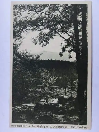 Alte AK Bad Harzburg Brockenblick Muxklippe um 1925 [V186]