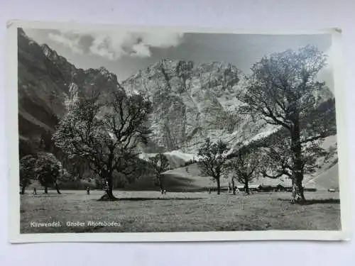 Alte AK Karwendel Großer Ahornboden um 1930 [V199]